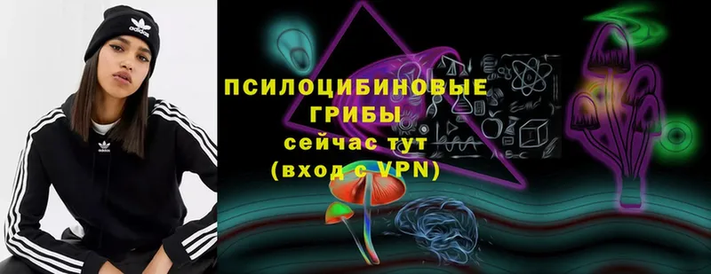 блэк спрут tor  Асино  Псилоцибиновые грибы ЛСД 